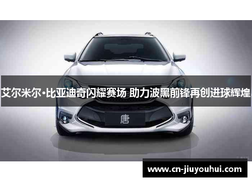 艾尔米尔·比亚迪奇闪耀赛场 助力波黑前锋再创进球辉煌