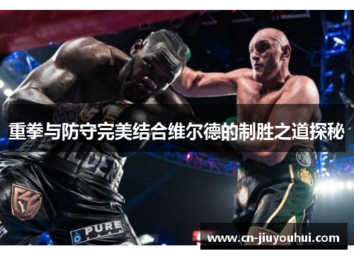 重拳与防守完美结合维尔德的制胜之道探秘