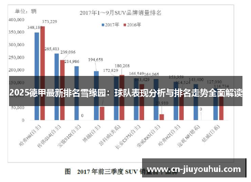 2025德甲最新排名雪缘园：球队表现分析与排名走势全面解读