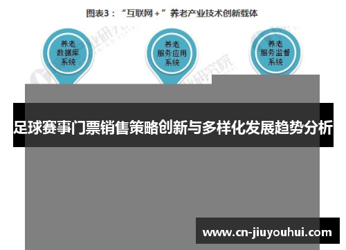 足球赛事门票销售策略创新与多样化发展趋势分析